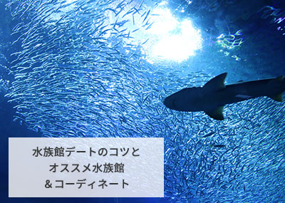 付き合う前の水族館デートにおすすめ！関東近郊のスポット11選と成功させるコツ