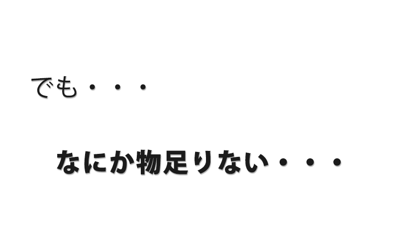 3ジップブーツカットストレッチチノパンツ