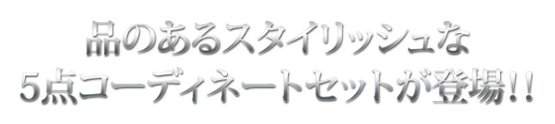 20.000円コーディネート　５点セット