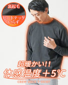裏起毛スムースコットン長袖クルーネックTシャツ