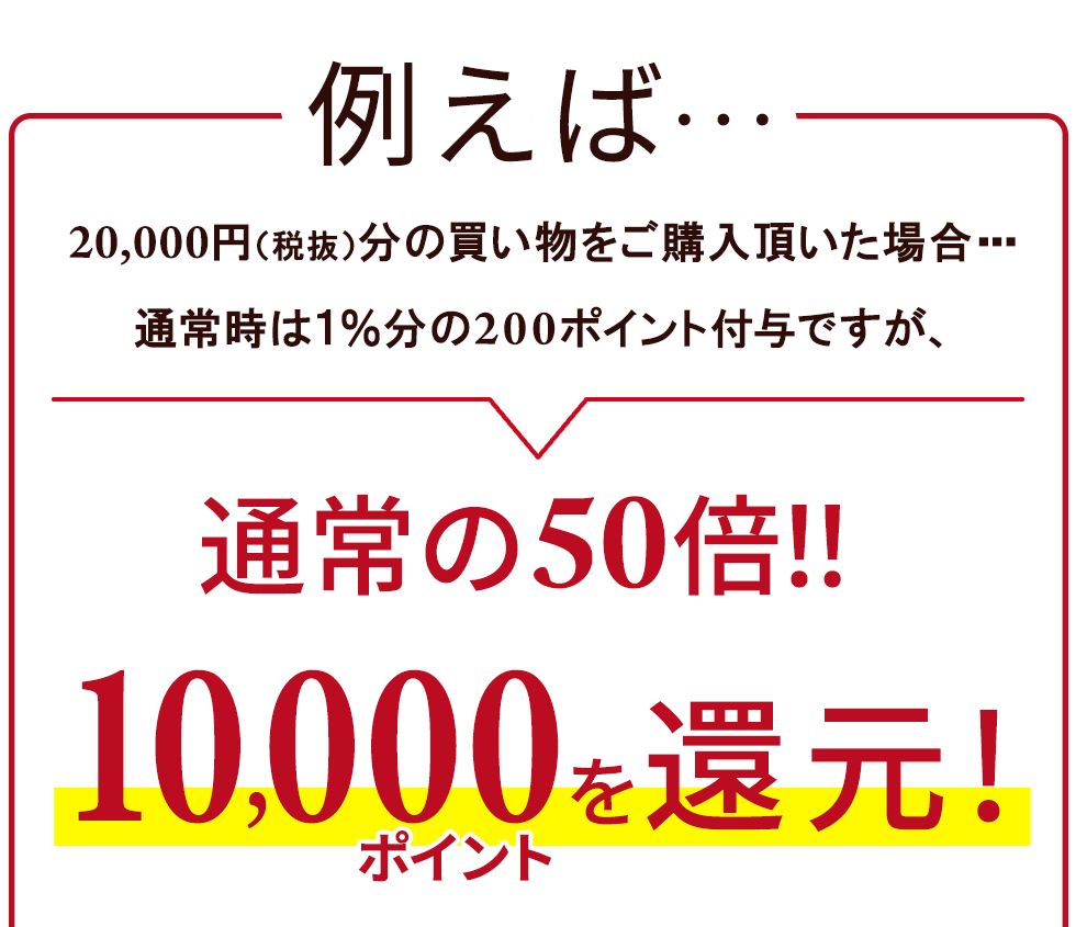 半額ポイント還元キャンペーン