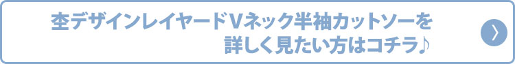 杢デザインレイヤードＶネック半袖カットソー×ランダムボーダー半袖レイヤードカットソー　２点セット