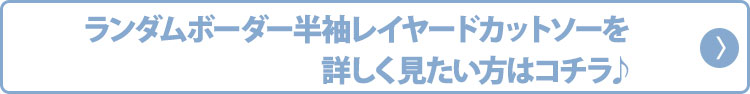 杢デザインレイヤードＶネック半袖カットソー×ランダムボーダー半袖レイヤードカットソー　２点セット