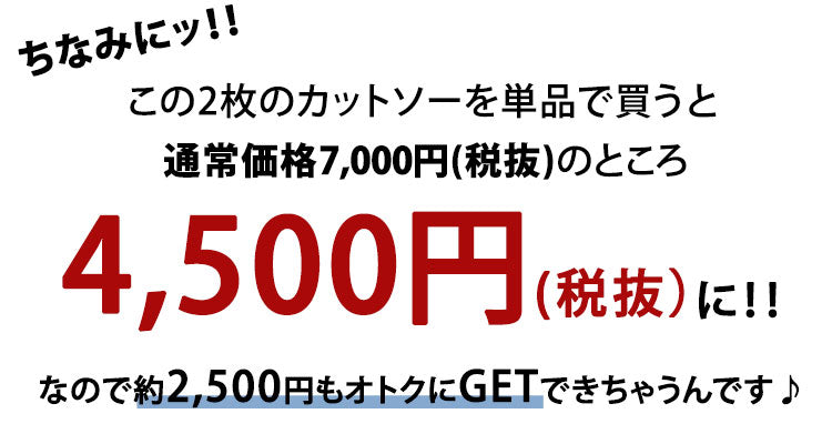 杢デザインレイヤードＶネック半袖カットソー×ランダムボーダー半袖レイヤードカットソー　２点セット