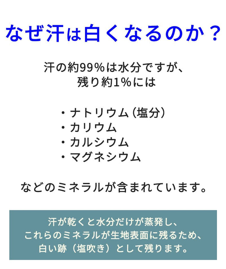 スリムフィットケーブル編み半袖Tシャツ