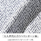 ラフヘリンボーンVネック半袖Tシャツ