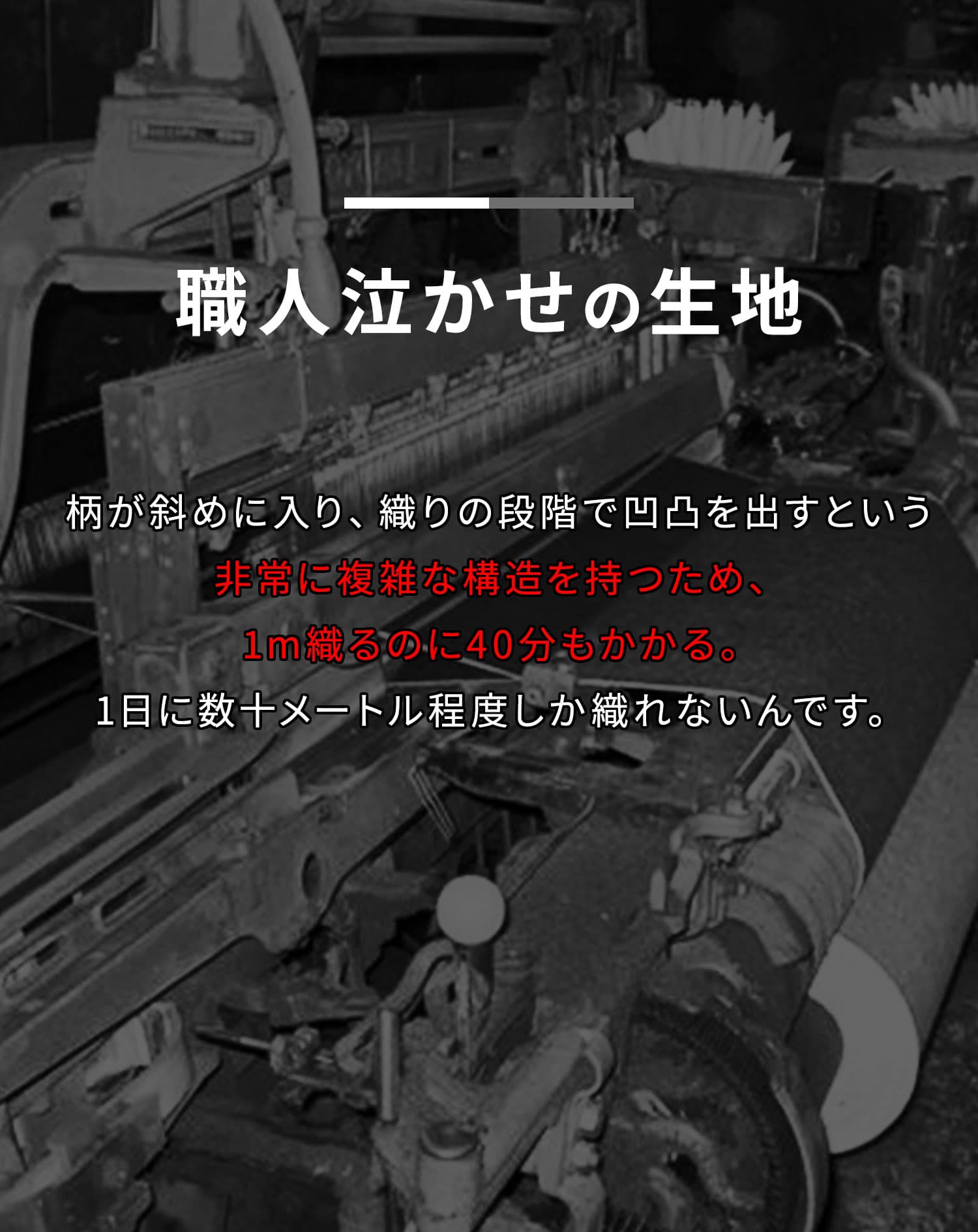 キルティングバイアスジャガード長袖タートルネックTシャツ