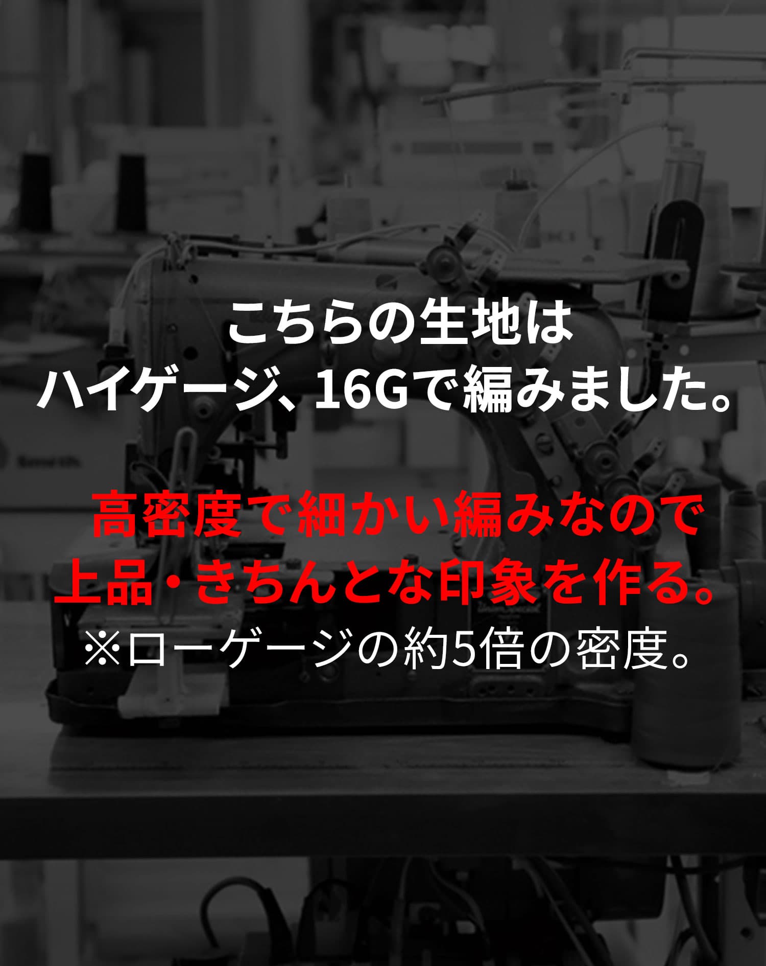 きちんと上品に見えるリブ編半袖ポロシャツ