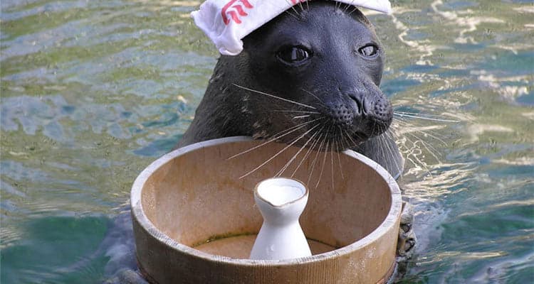 箱根園水族館