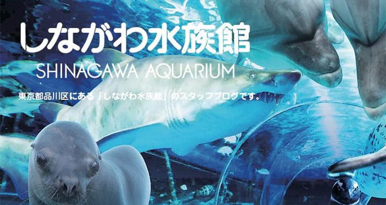 しながわ水族館