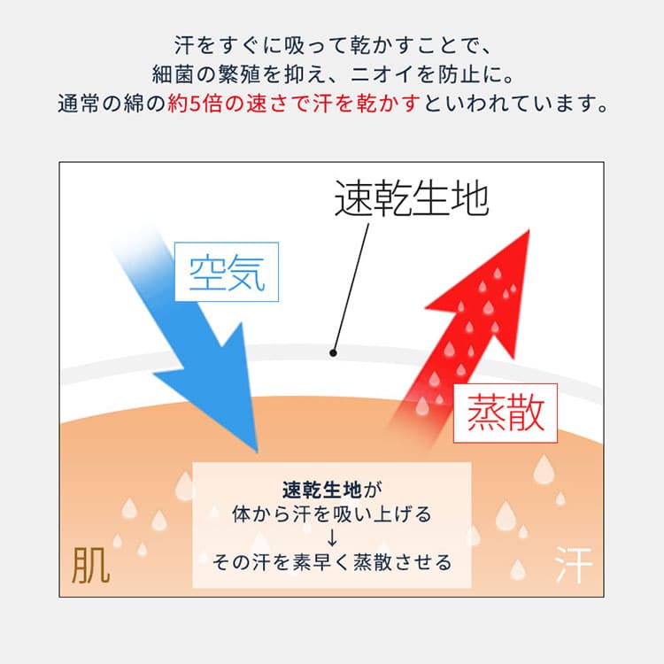 汗を素早く吸収して乾かす吸汗速乾素材・ドライ加工の説明画像