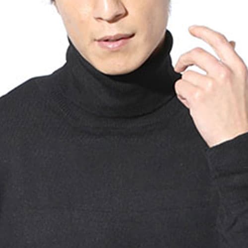 タートルネックの画像