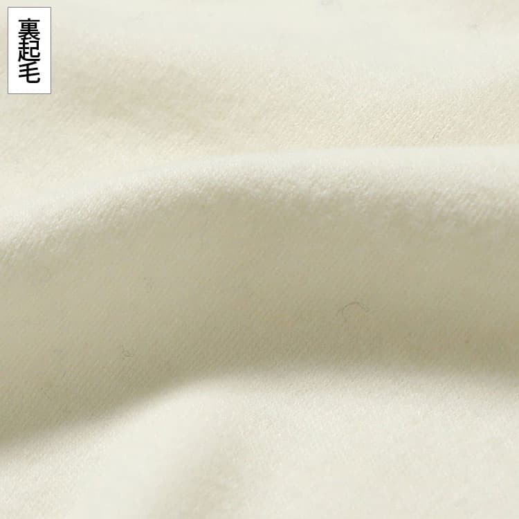 ハイネックTシャツの裏起毛の画像