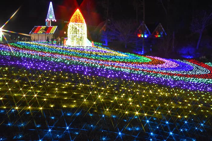 東京ドイツ村イルミネーション